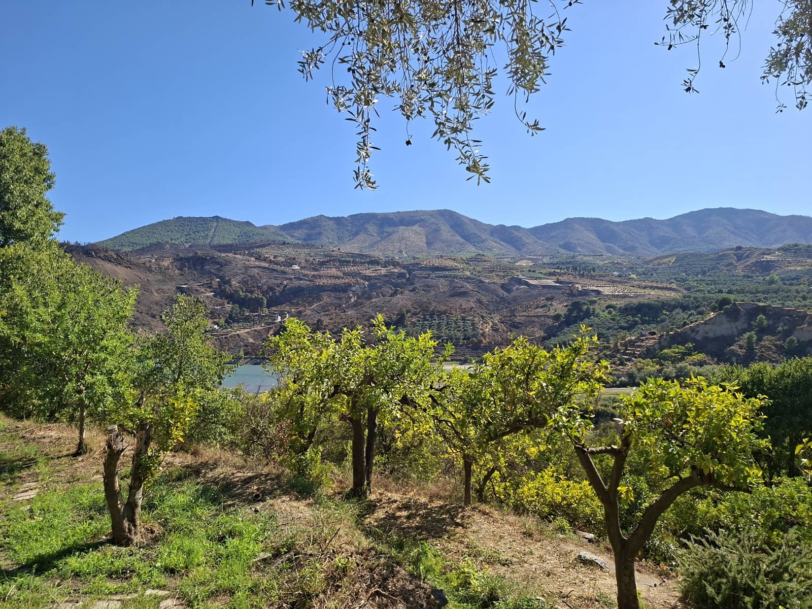 1 quarto Quinta/Casa Rural para venda em Melegis - 90 000 € (Ref: 10120593)