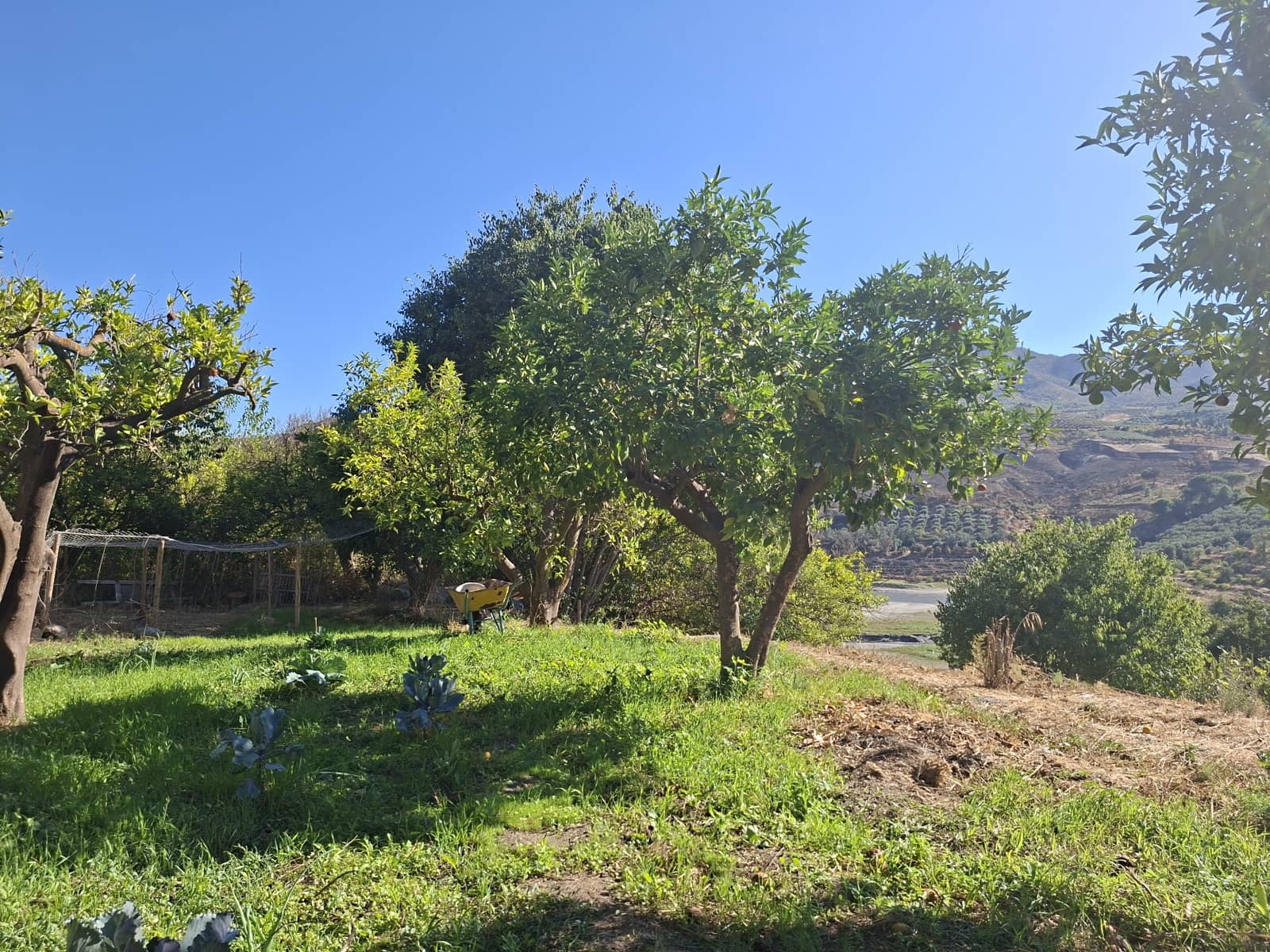 1 quarto Quinta/Casa Rural para venda em Melegis - 90 000 € (Ref: 10120593)