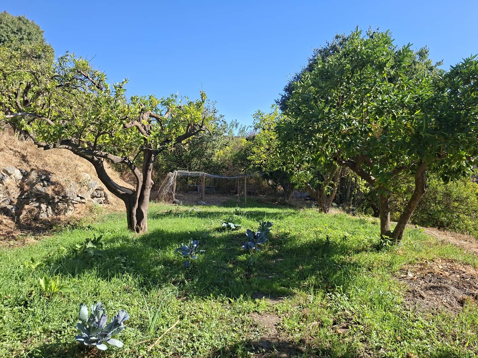1 quarto Quinta/Casa Rural para venda em Melegis - 90 000 € (Ref: 10120593)
