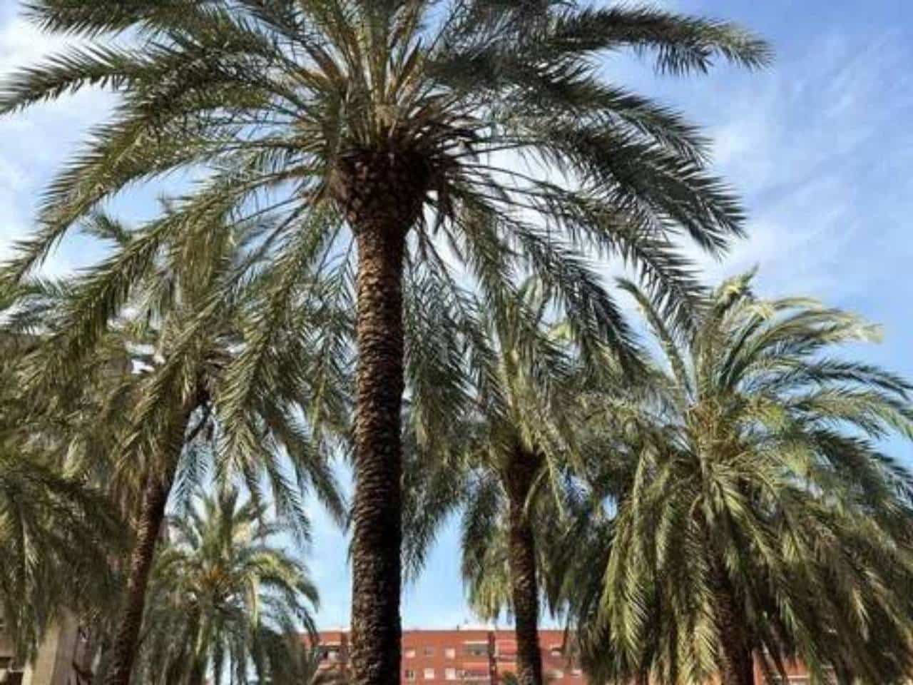 3 soverom Leilighet til salgs i Valencia by med garasje - € 297 000 (Ref: 9960227)