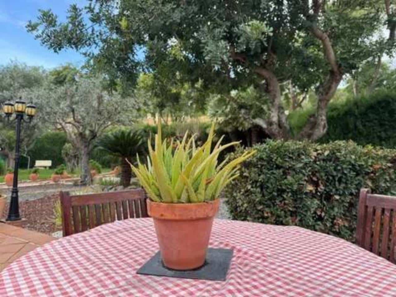 5 sypialnia Willa na sprzedaż w Puig z basenem garażem - 830 000 € (Ref: 9960228)