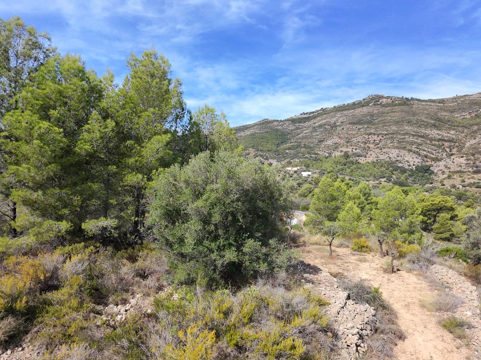 2 bedroom Finca/Country House for sale in Jalon / Xalo with pool garage - € 290,000 (Ref: 9946672)