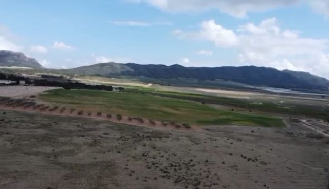 Terreno Non Edificato in vendita in Salinas - 70.000 € (Rif: 10024682)