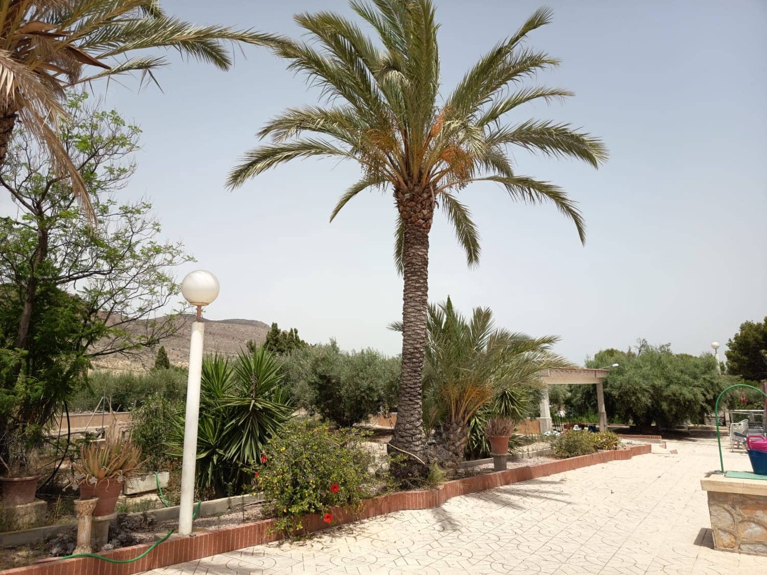 3 sypialnia Willa na sprzedaż w Miasto Alicante / Alacant z basenem garażem - 375 000 € (Ref: 9967978)