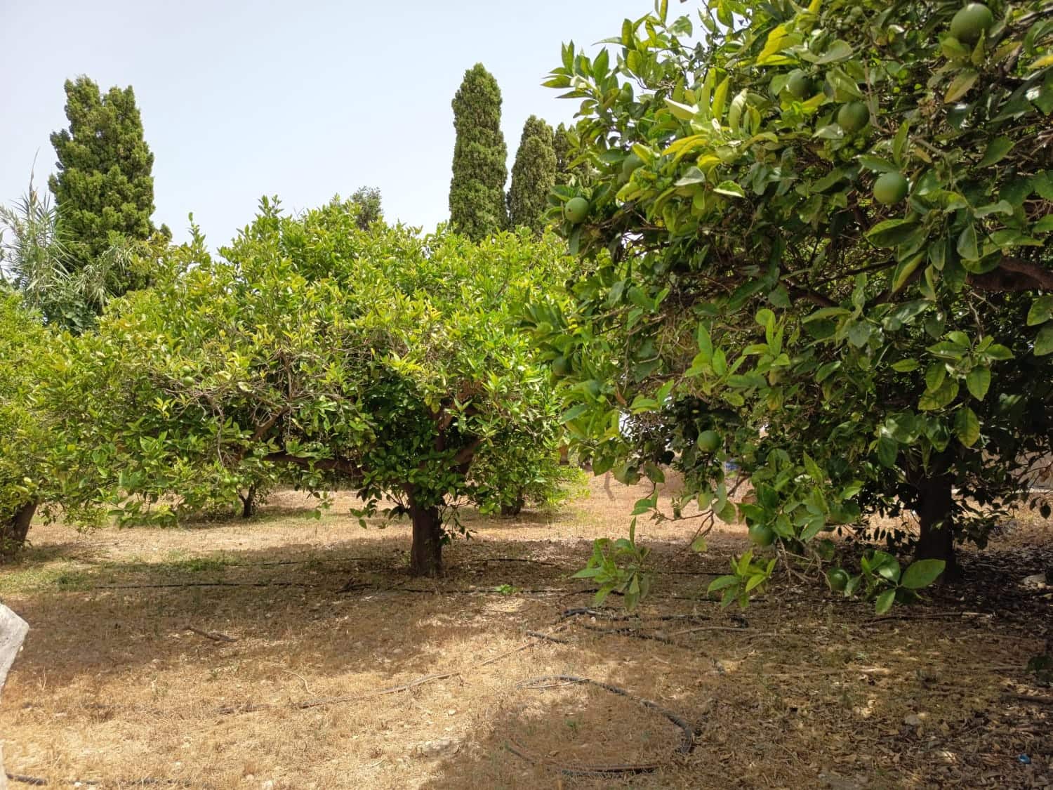 3 sypialnia Willa na sprzedaż w Miasto Alicante / Alacant z basenem garażem - 375 000 € (Ref: 9967978)