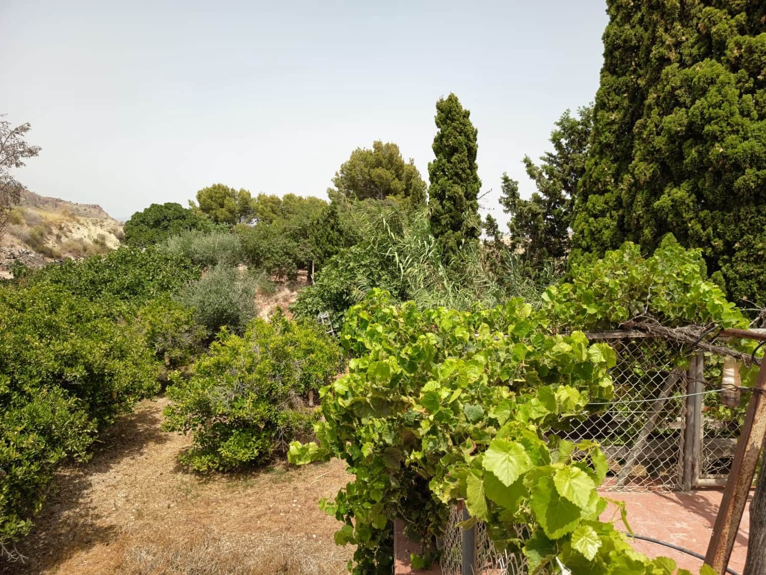 3 sypialnia Willa na sprzedaż w Miasto Alicante / Alacant z basenem garażem - 375 000 € (Ref: 9967978)