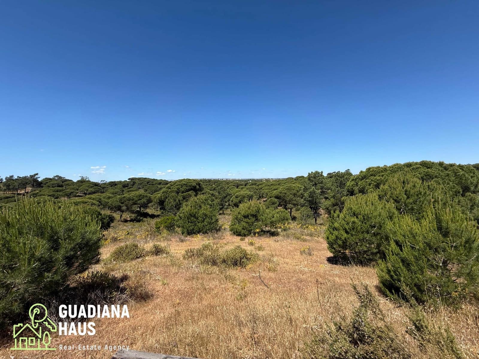 4 slaapkamer Finca/Landhuis te koop in Ayamonte - € 440.000 (Ref: 10078543)