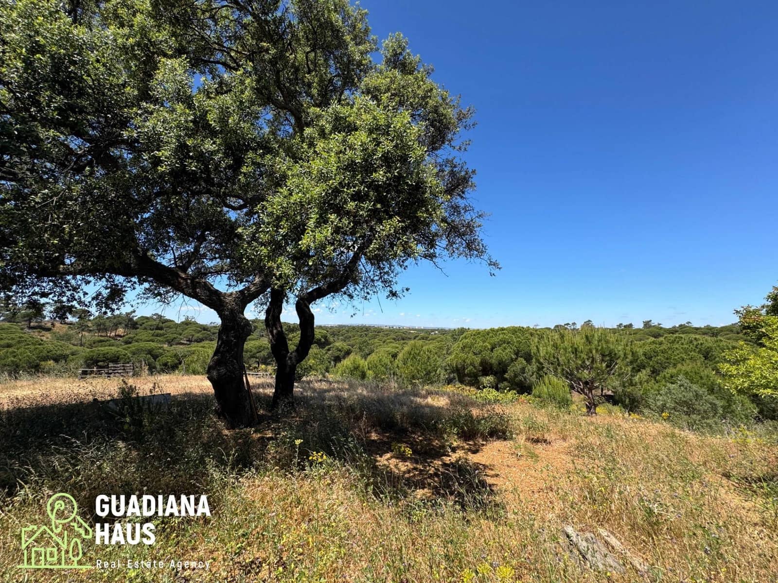 4 slaapkamer Finca/Landhuis te koop in Ayamonte - € 440.000 (Ref: 10078543)