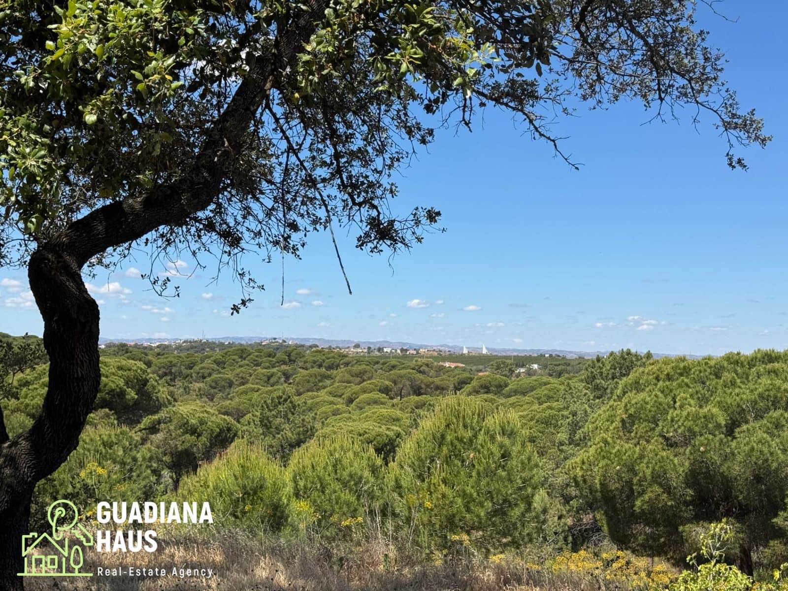 4 slaapkamer Finca/Landhuis te koop in Ayamonte - € 440.000 (Ref: 10078543)