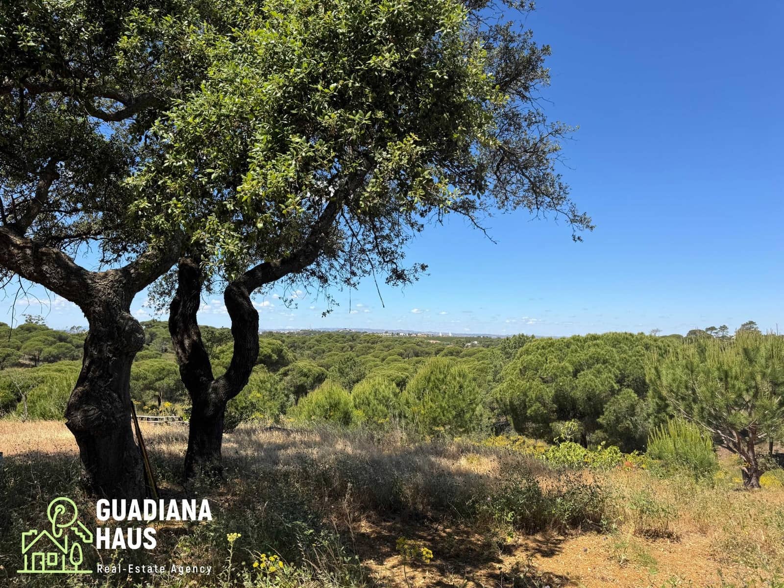 4 slaapkamer Finca/Landhuis te koop in Ayamonte - € 440.000 (Ref: 10078543)