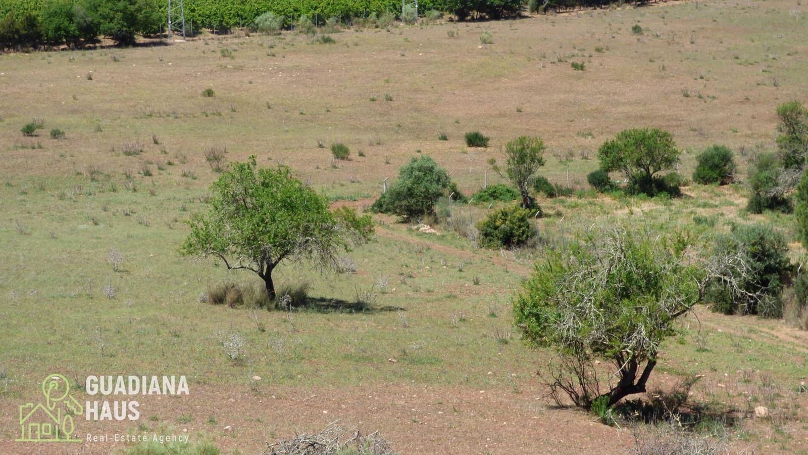 Terre non Aménagée à vendre à Ayamonte - 240 000 € (Ref: 10078546)