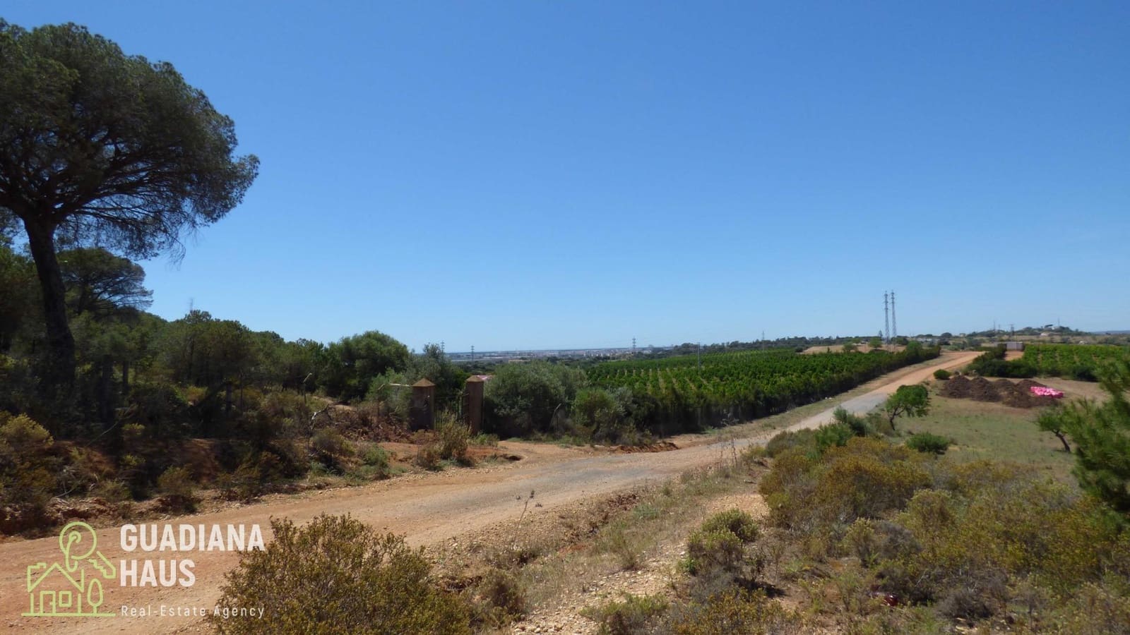 Terre non Aménagée à vendre à Ayamonte - 240 000 € (Ref: 10078546)