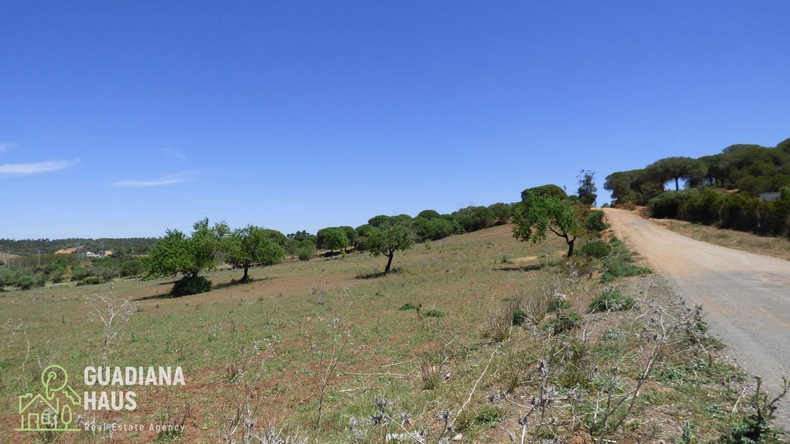 Terre non Aménagée à vendre à Ayamonte - 240 000 € (Ref: 10078546)