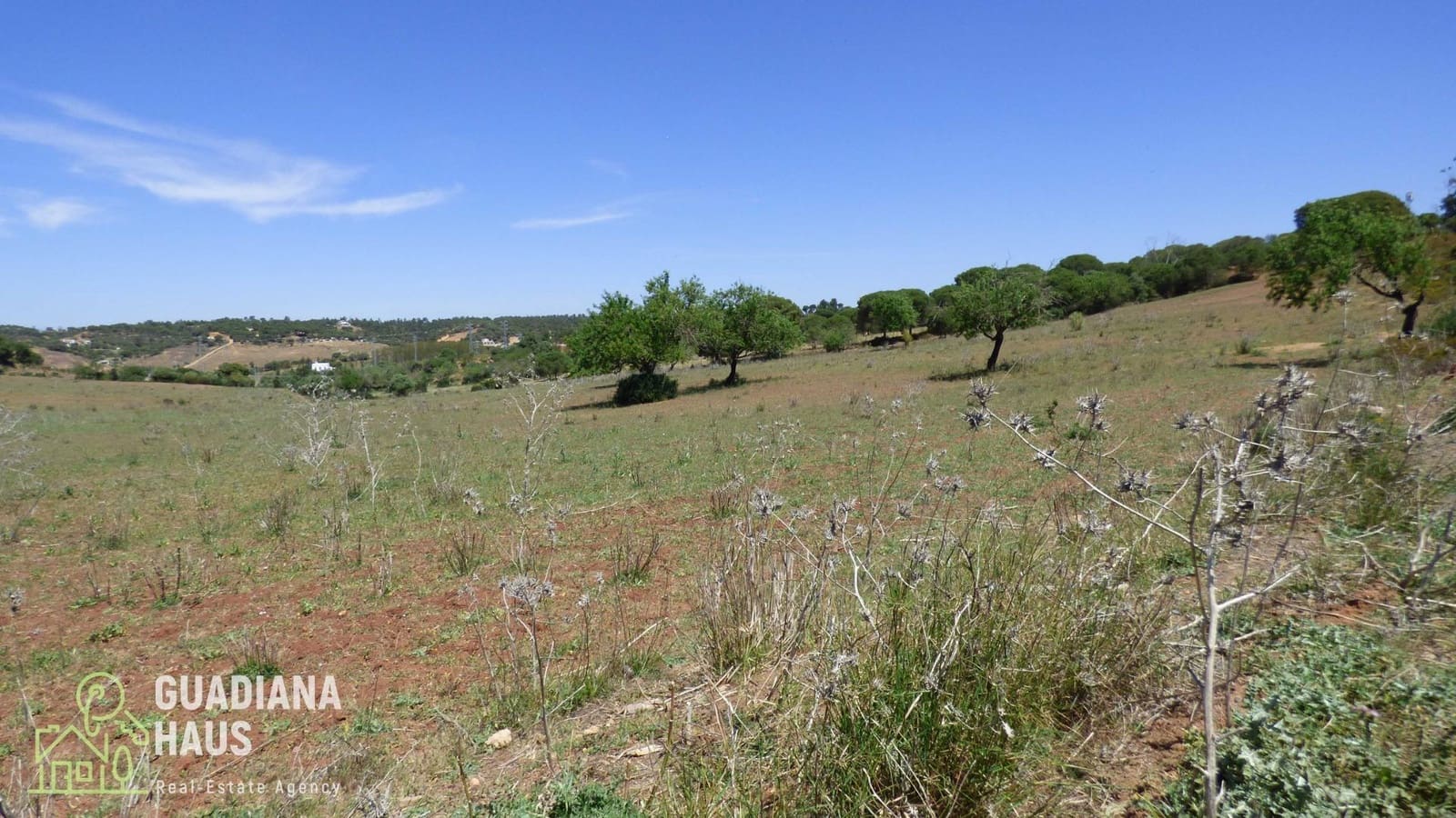 Terre non Aménagée à vendre à Ayamonte - 240 000 € (Ref: 10078546)