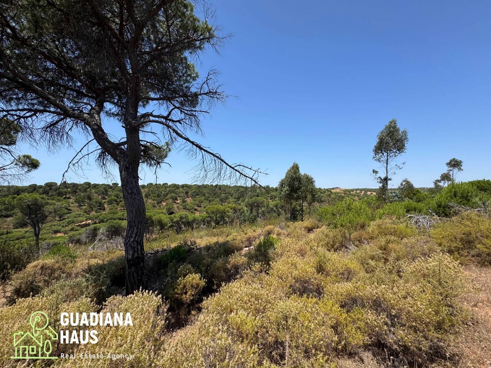 Terreno Não Urbanizado para venda em Villablanca - 169 000 € (Ref: 10078560)