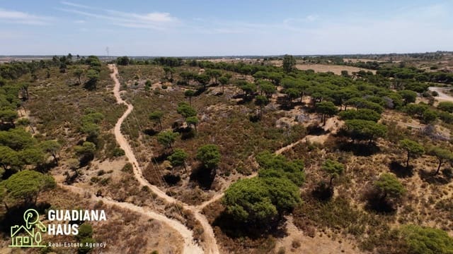 Terreno Não Urbanizado para venda em Villablanca - 169 000 € (Ref: 10078560)