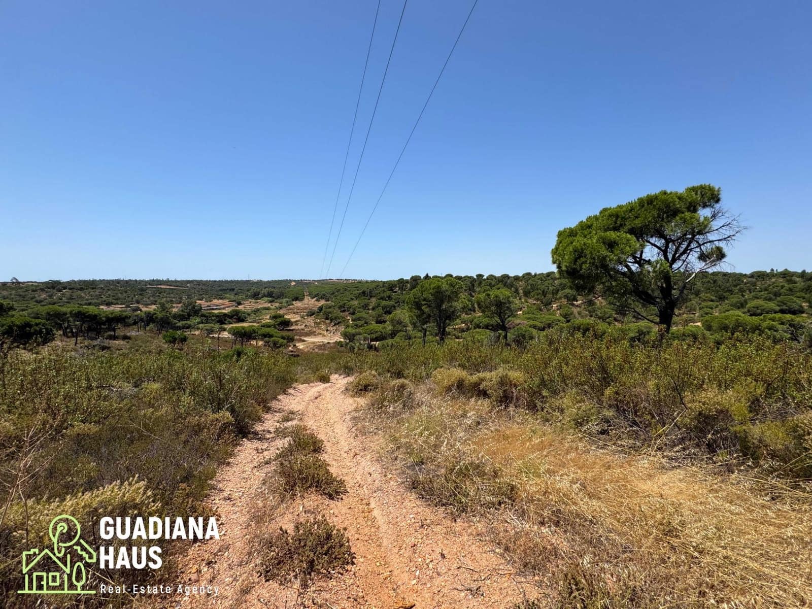 Terreno Não Urbanizado para venda em Villablanca - 169 000 € (Ref: 10078560)