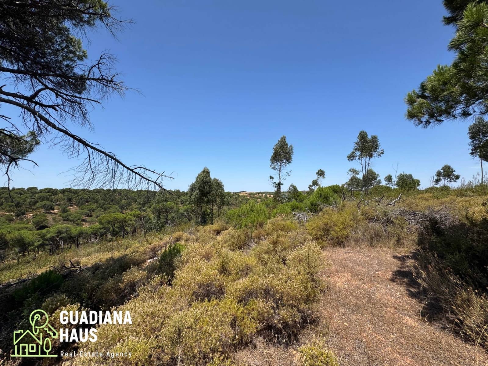 Terreno Não Urbanizado para venda em Villablanca - 169 000 € (Ref: 10078560)