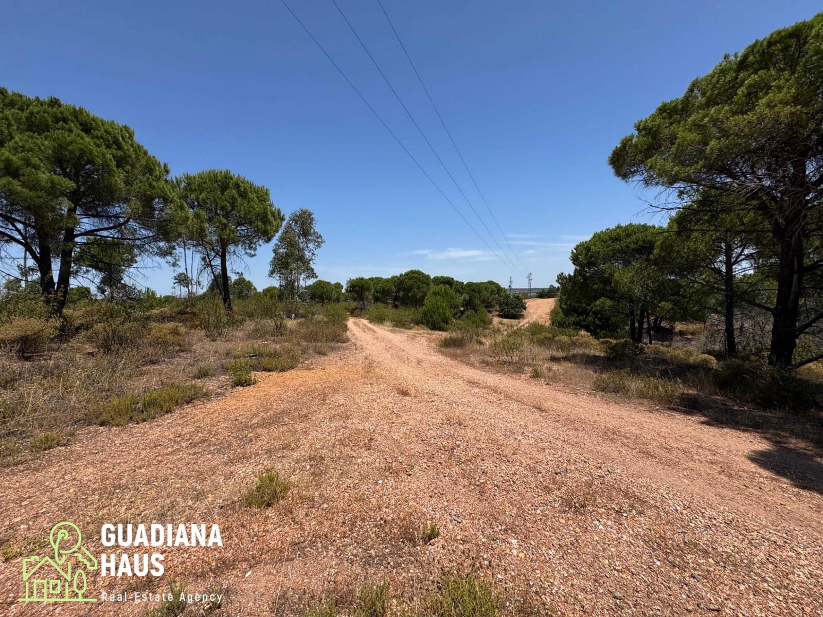 Terreno Não Urbanizado para venda em Villablanca - 169 000 € (Ref: 10078560)