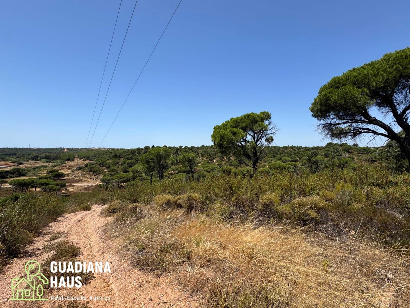 Terreno Não Urbanizado para venda em Villablanca - 169 000 € (Ref: 10078560)