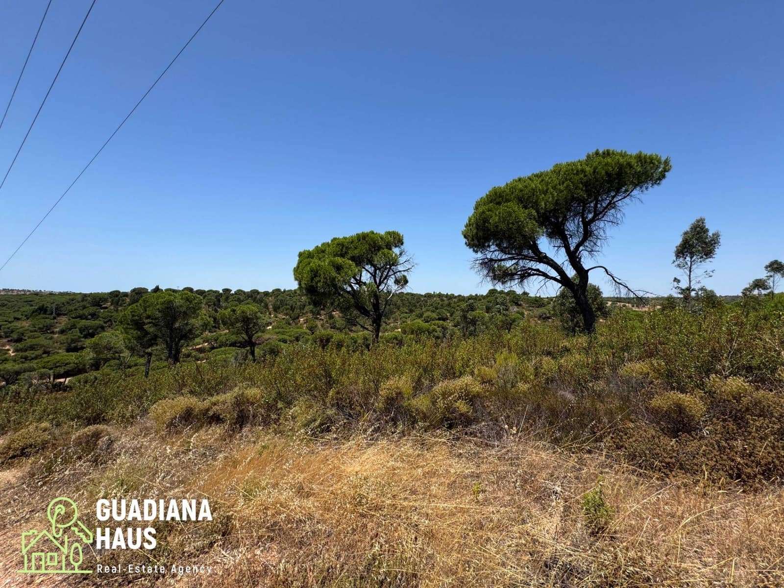 Terreno Não Urbanizado para venda em Villablanca - 169 000 € (Ref: 10078560)