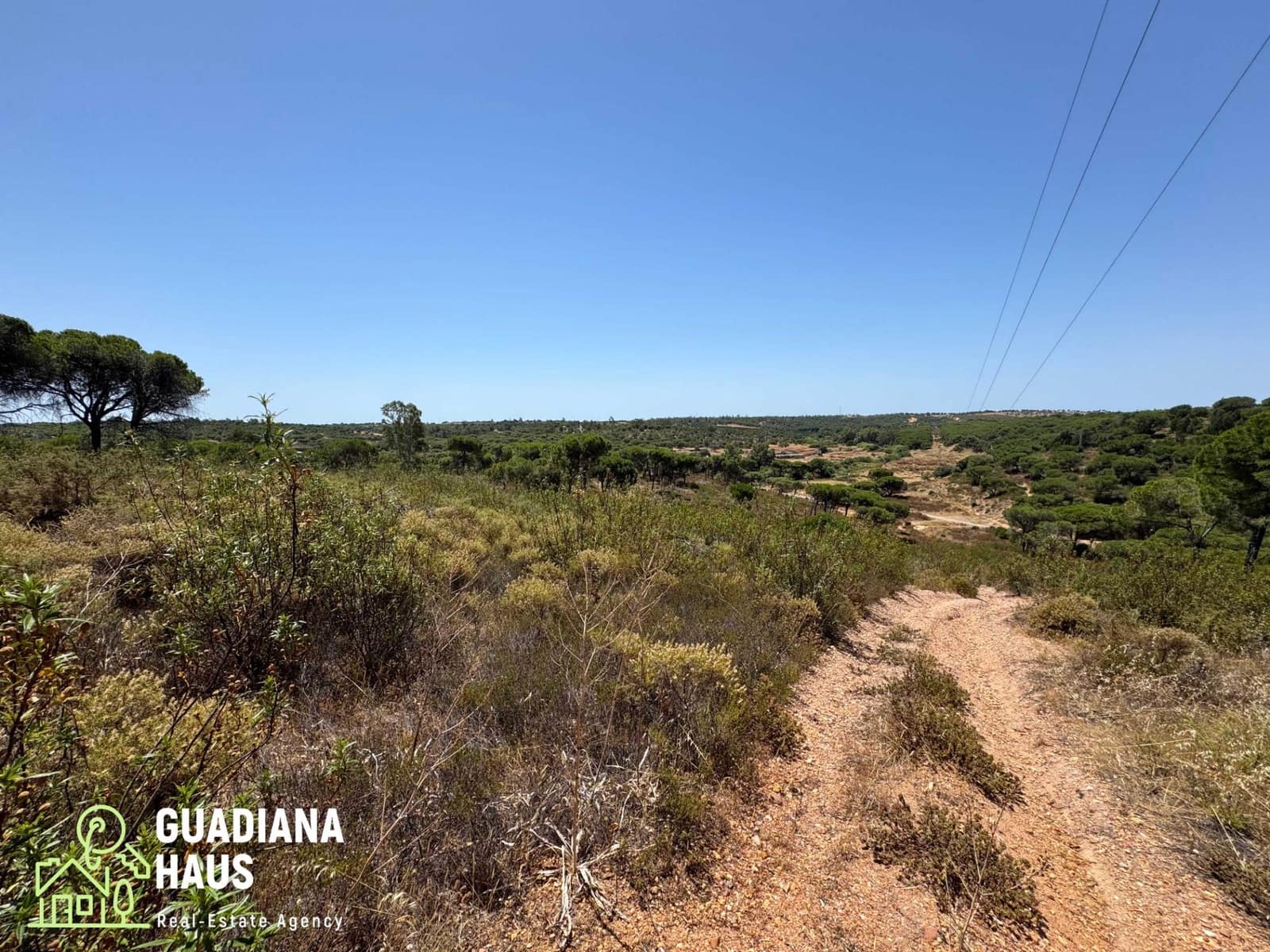 Terreno Não Urbanizado para venda em Villablanca - 169 000 € (Ref: 10078560)