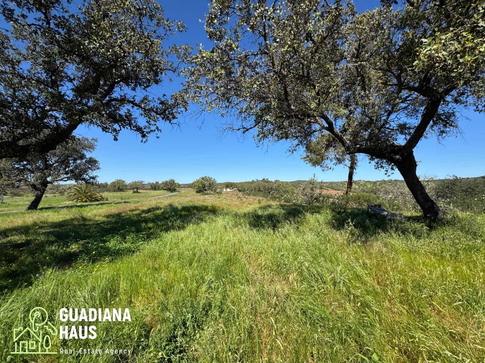 2 sypialnia Finka/Dom wiejski na sprzedaż w San Silvestre de Guzman - 259 000 € (Ref: 10078567)