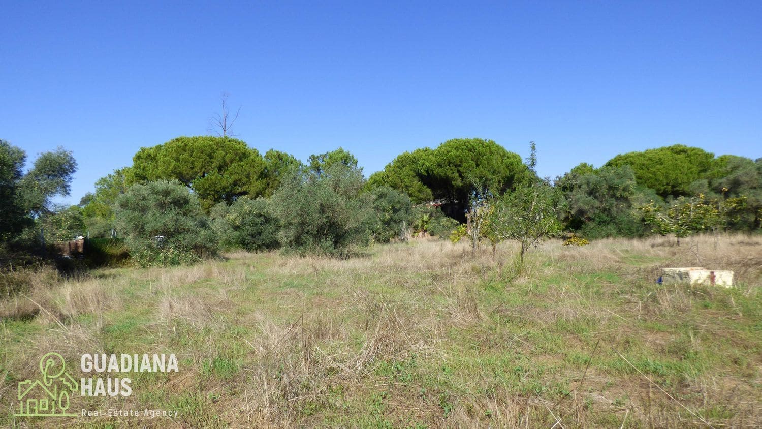 5 slaapkamer Finca/Landhuis te koop in Villablanca - € 319.000 (Ref: 10078570)