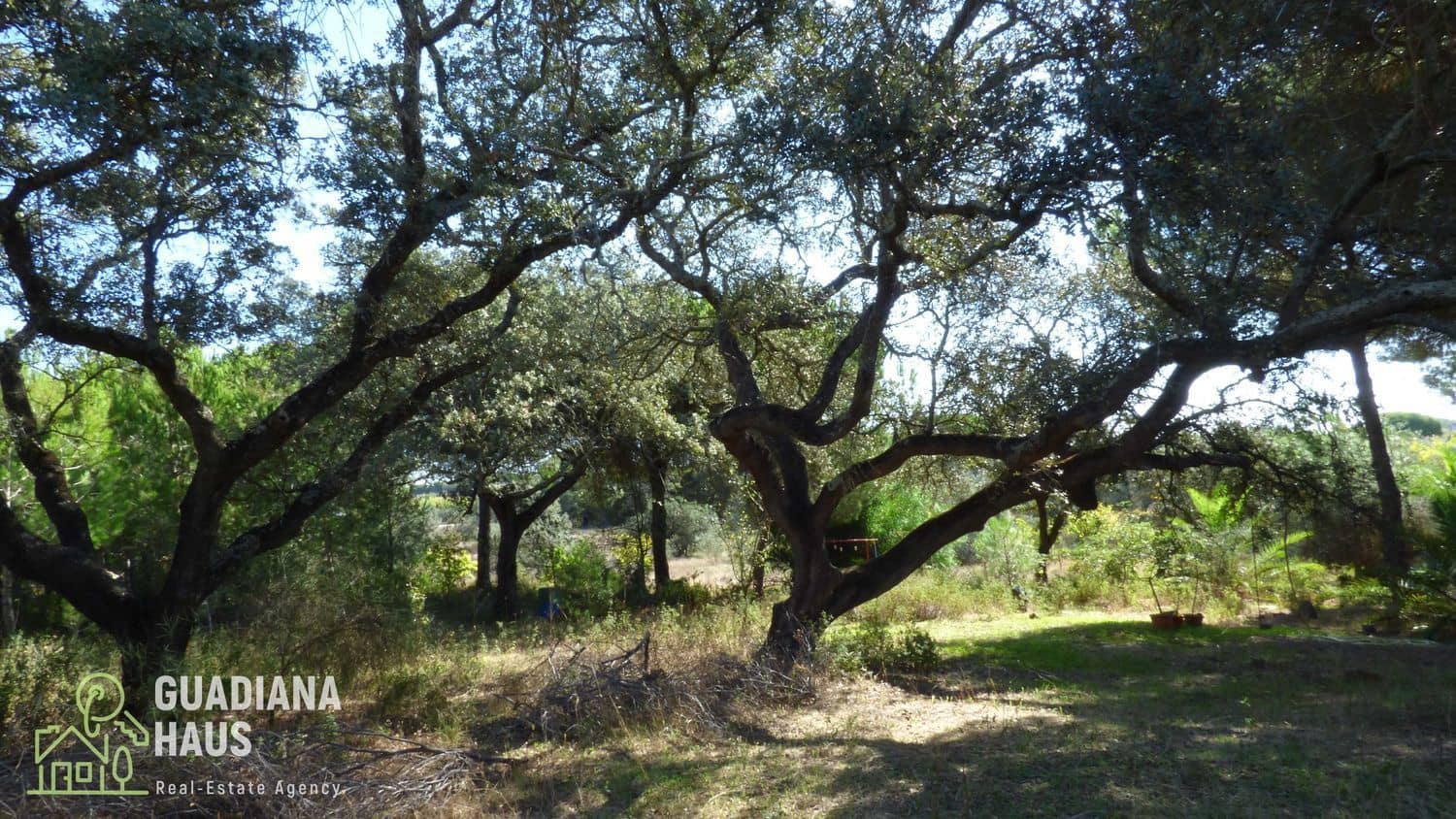 5 slaapkamer Finca/Landhuis te koop in Villablanca - € 319.000 (Ref: 10078570)