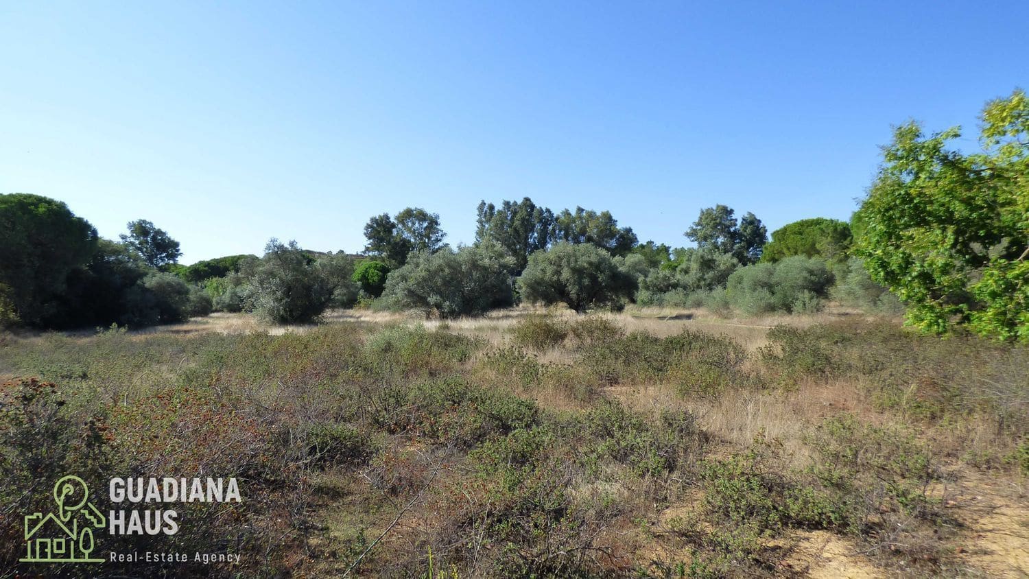 5 slaapkamer Finca/Landhuis te koop in Villablanca - € 319.000 (Ref: 10078570)