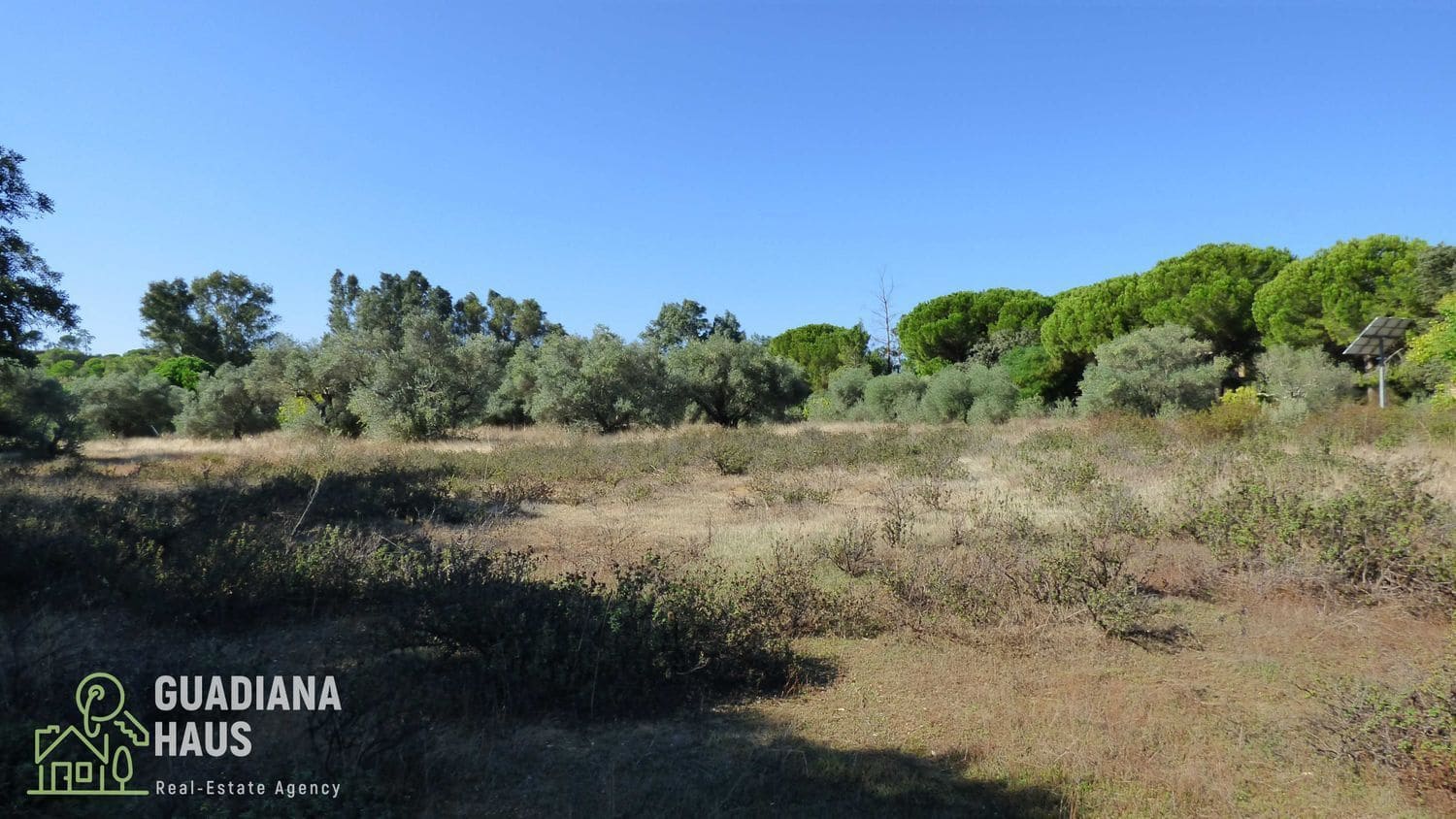 5 slaapkamer Finca/Landhuis te koop in Villablanca - € 319.000 (Ref: 10078570)