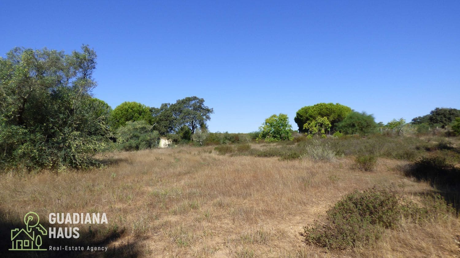 5 slaapkamer Finca/Landhuis te koop in Villablanca - € 319.000 (Ref: 10078570)