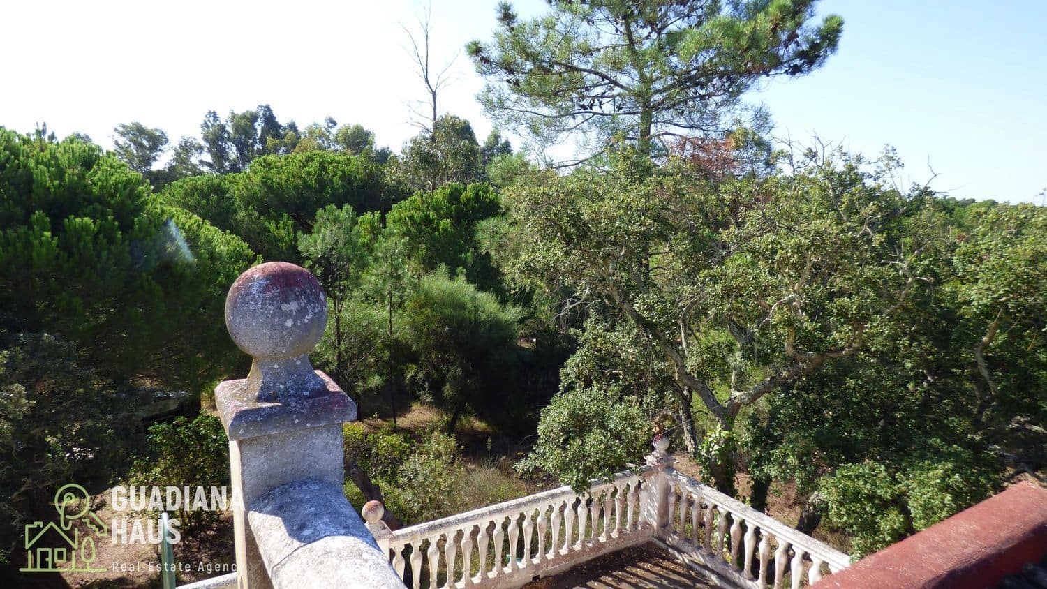 5 slaapkamer Finca/Landhuis te koop in Villablanca - € 319.000 (Ref: 10078570)