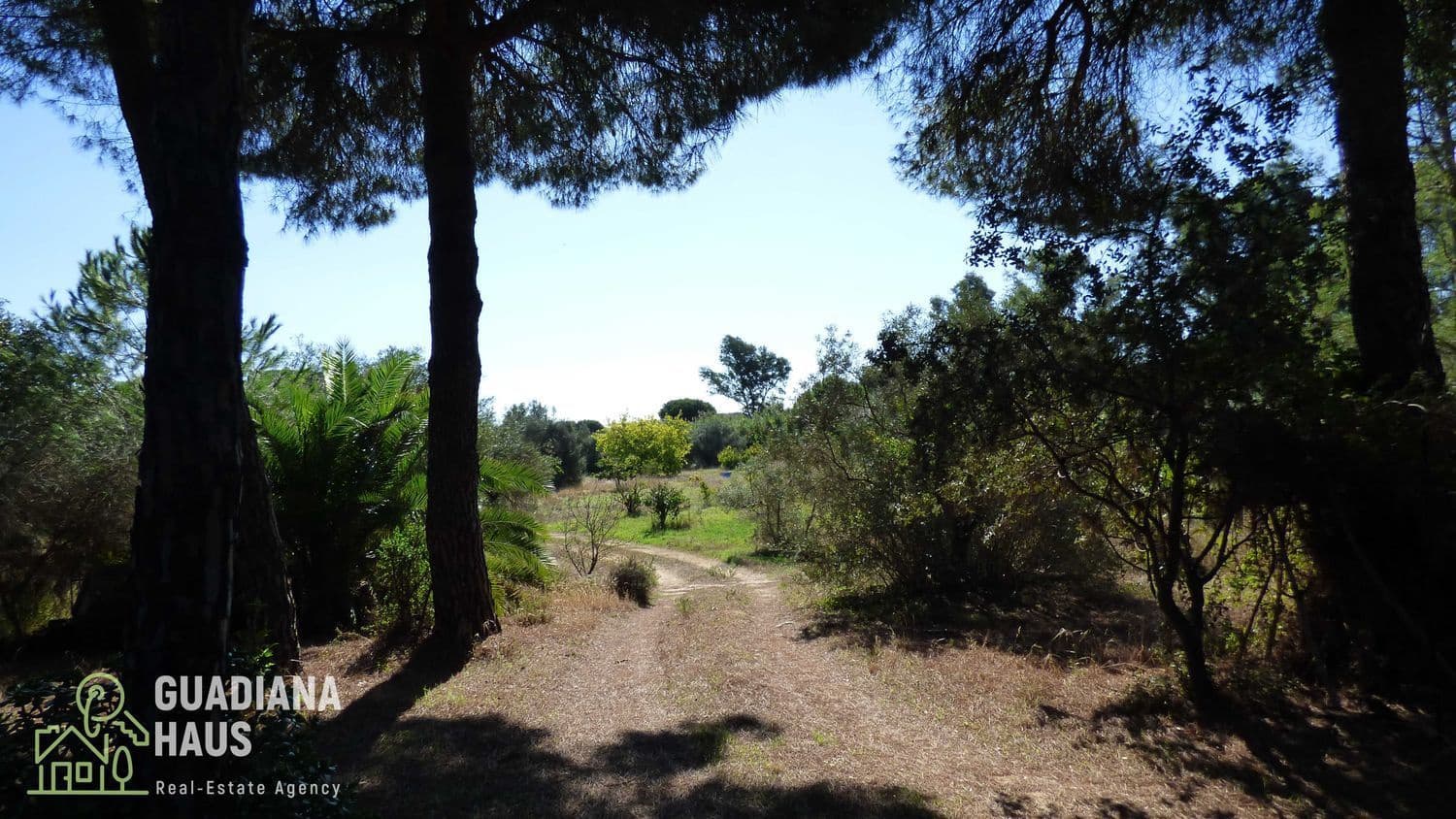 5 slaapkamer Finca/Landhuis te koop in Villablanca - € 319.000 (Ref: 10078570)