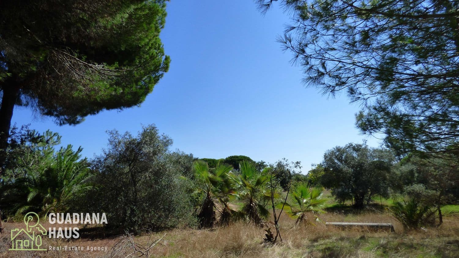 5 slaapkamer Finca/Landhuis te koop in Villablanca - € 319.000 (Ref: 10078570)