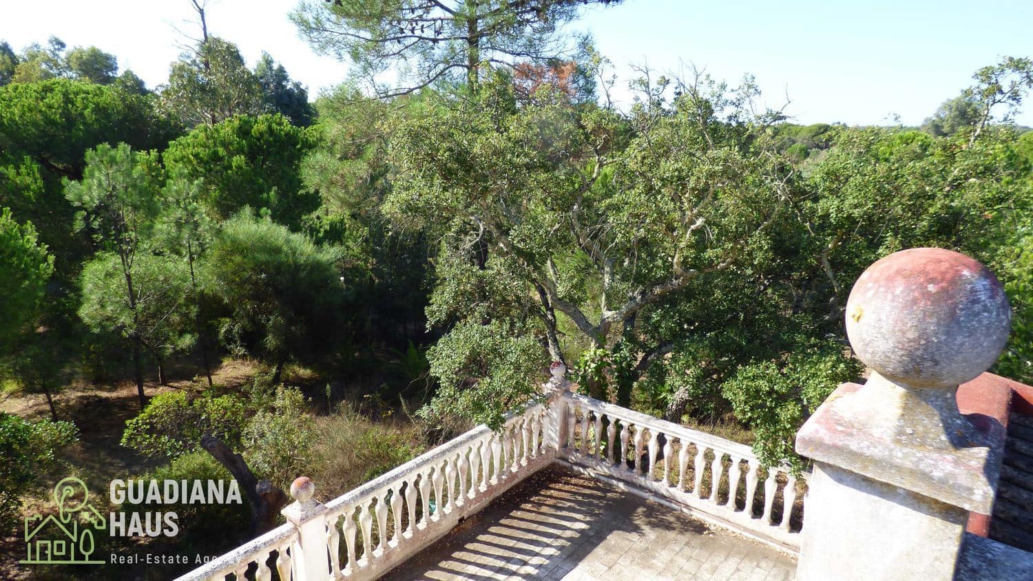 5 slaapkamer Finca/Landhuis te koop in Villablanca - € 319.000 (Ref: 10078570)