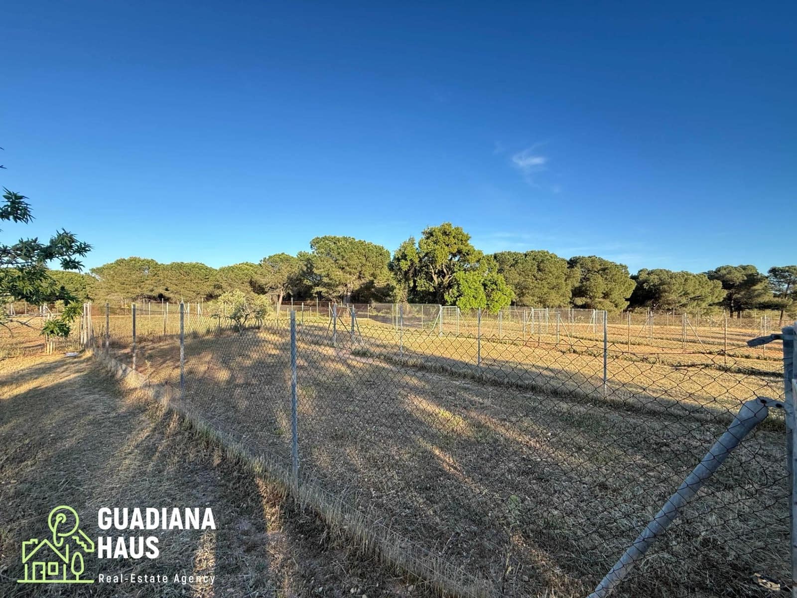 1 slaapkamer Finca/Landhuis te koop in Lepe - € 690.000 (Ref: 10078576)
