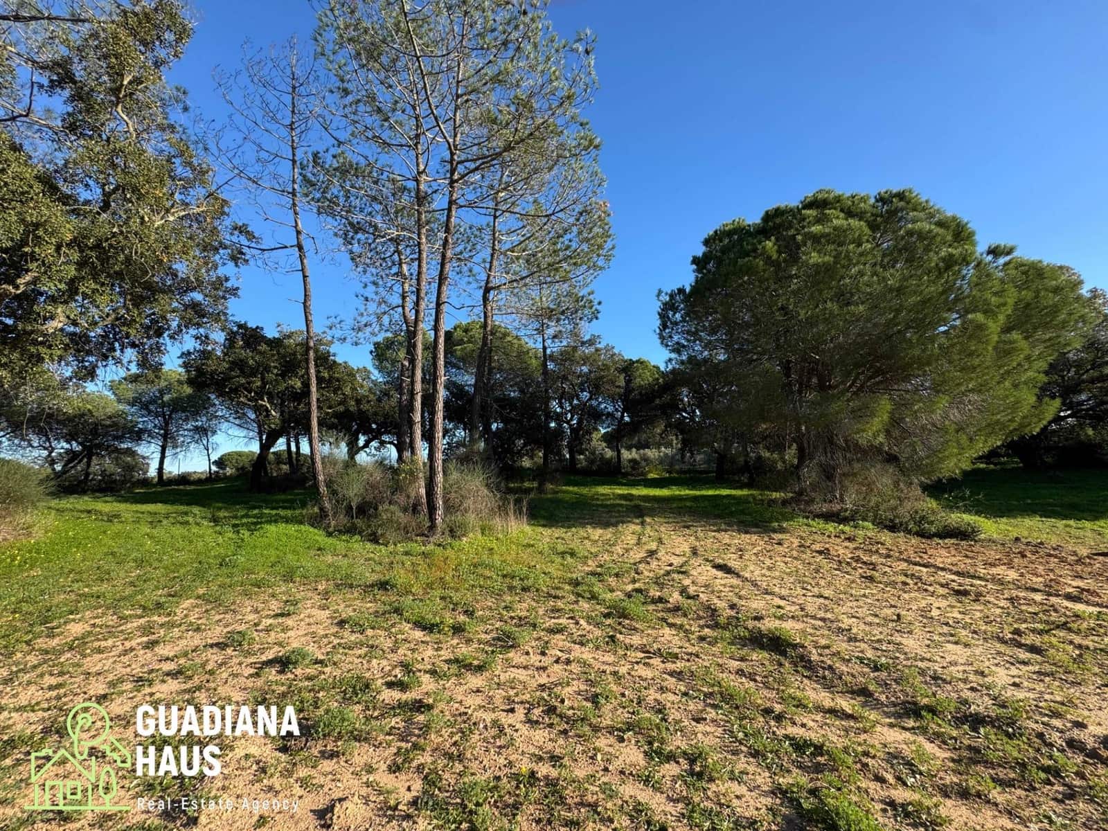 Finca/Casa Rural de 1 habitación en Villablanca en venta - 195.000 € (Ref: 10078579)