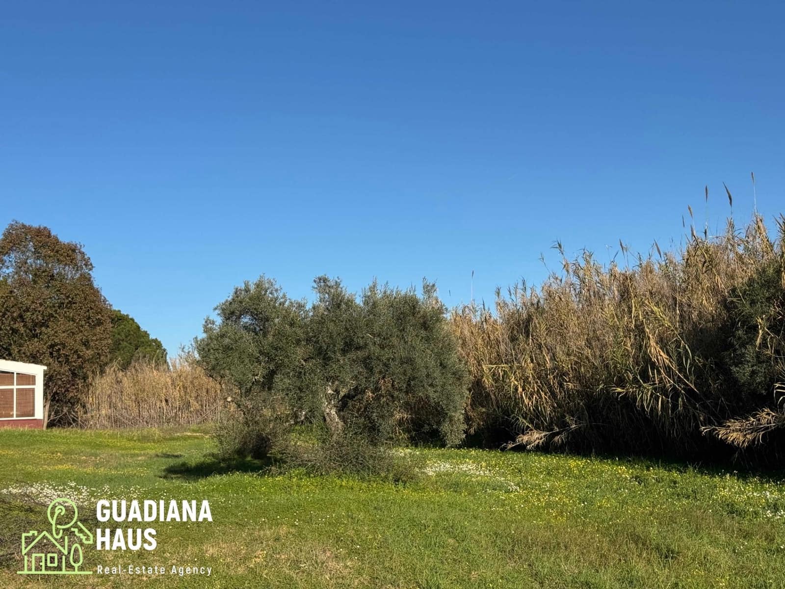 Finca/Casa Rural de 1 habitación en Villablanca en venta - 195.000 € (Ref: 10078579)