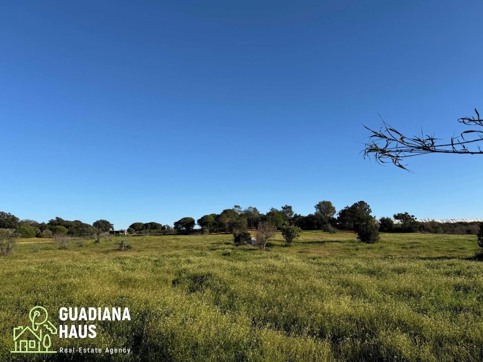 Finca/Casa Rural de 1 habitación en Villablanca en venta - 195.000 € (Ref: 10078579)