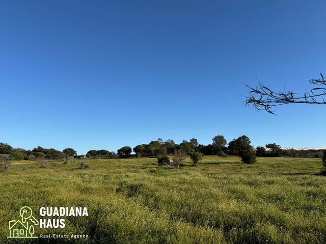 1 bedroom Finca/Country House for sale in Villablanca - € 195,000 (Ref: 10078579)
