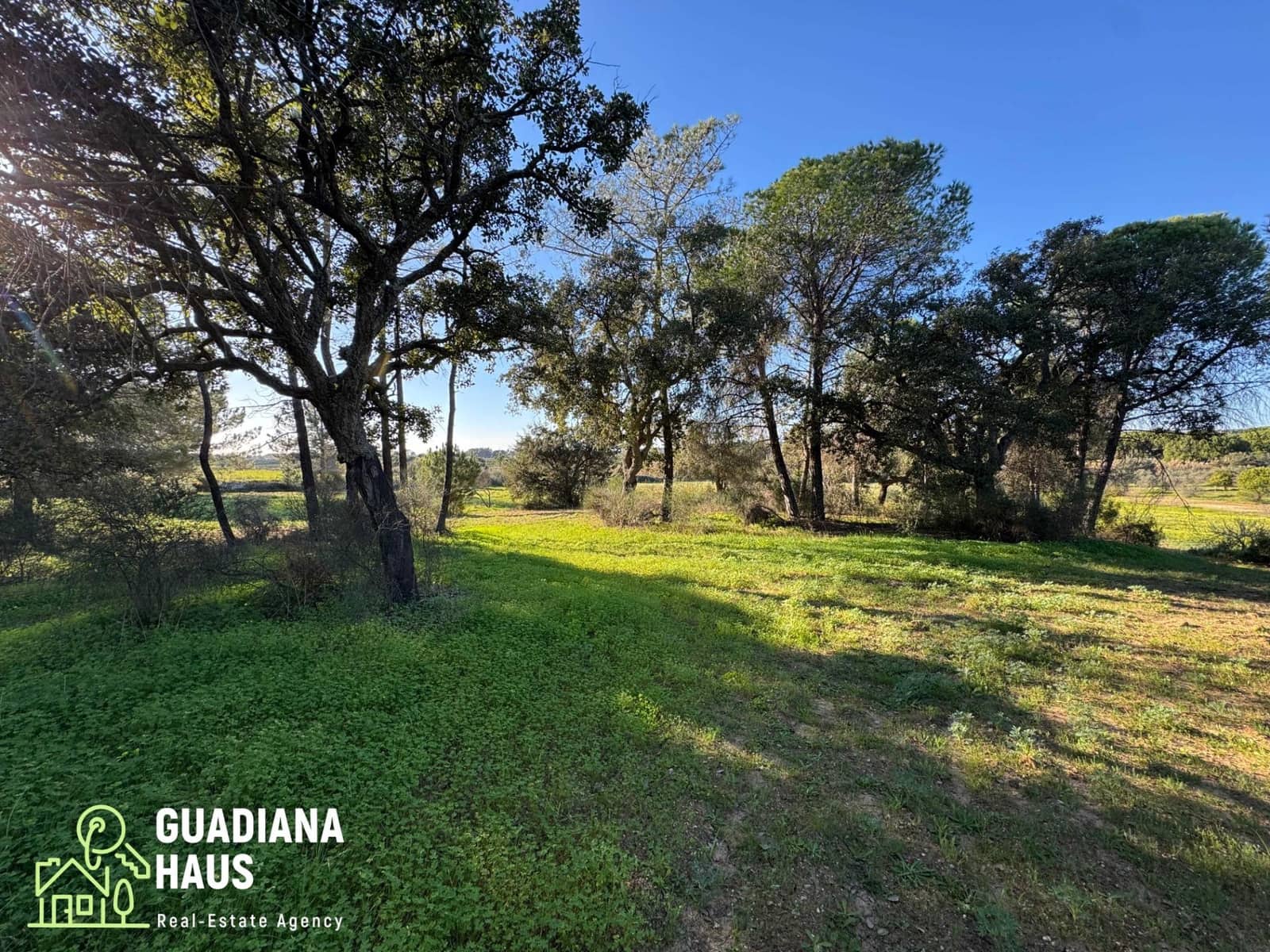 Finca/Casa Rural de 1 habitación en Villablanca en venta - 195.000 € (Ref: 10078579)