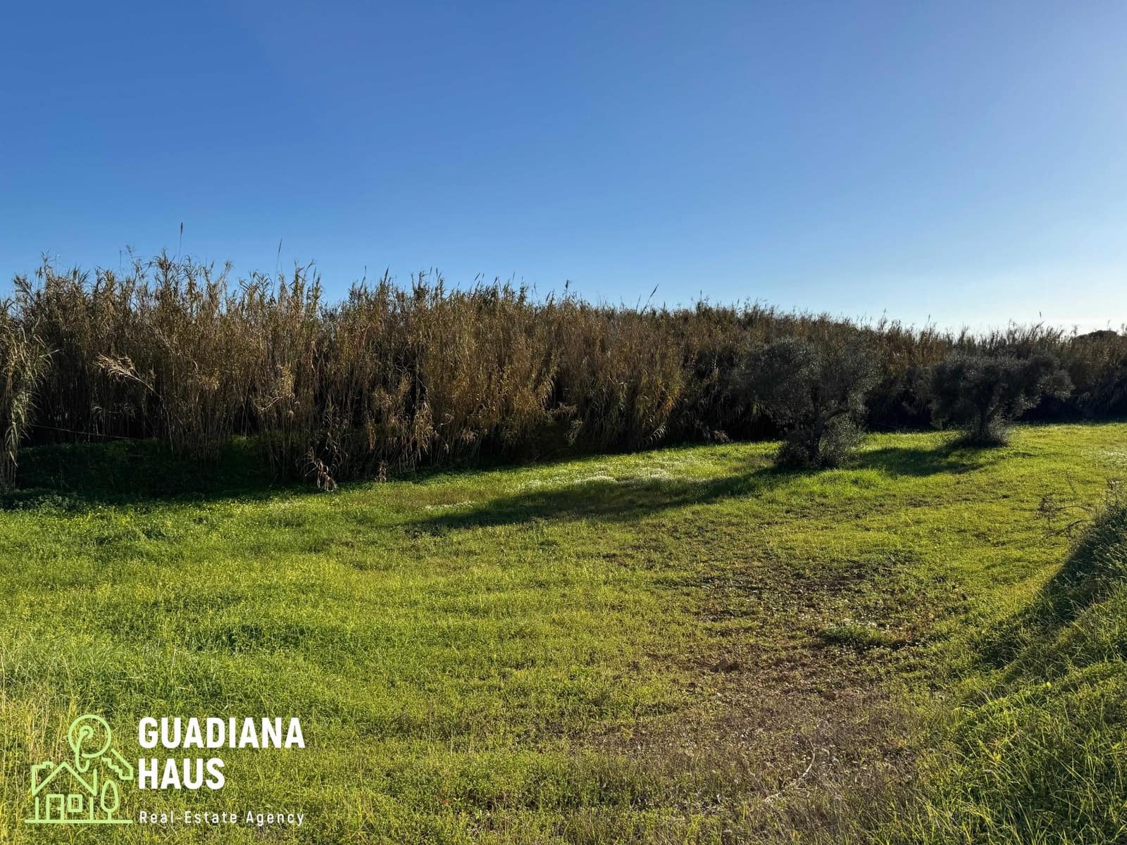 Finca/Casa Rural de 1 habitación en Villablanca en venta - 195.000 € (Ref: 10078579)