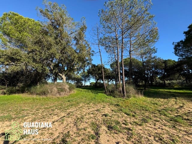 1 bedroom Finca/Country House for sale in Villablanca - € 195,000 (Ref: 10078579)