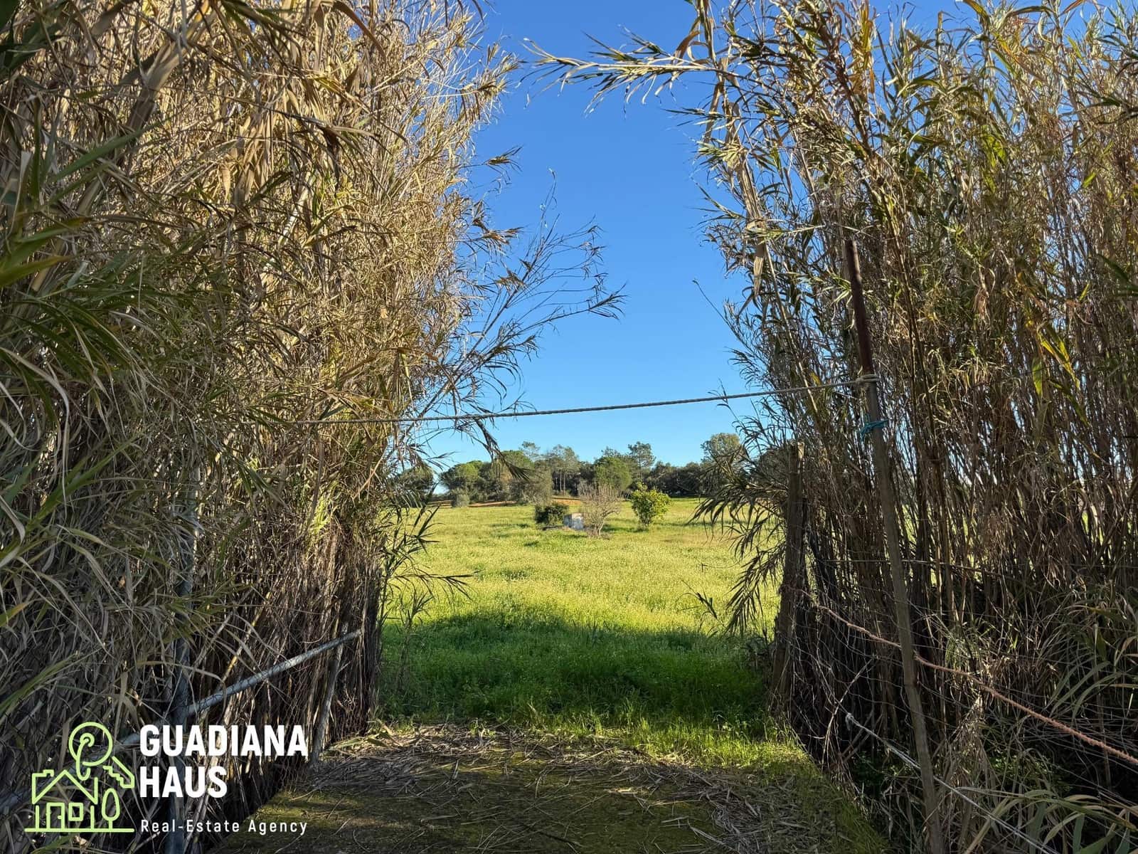 Finca/Casa Rural de 1 habitación en Villablanca en venta - 195.000 € (Ref: 10078579)