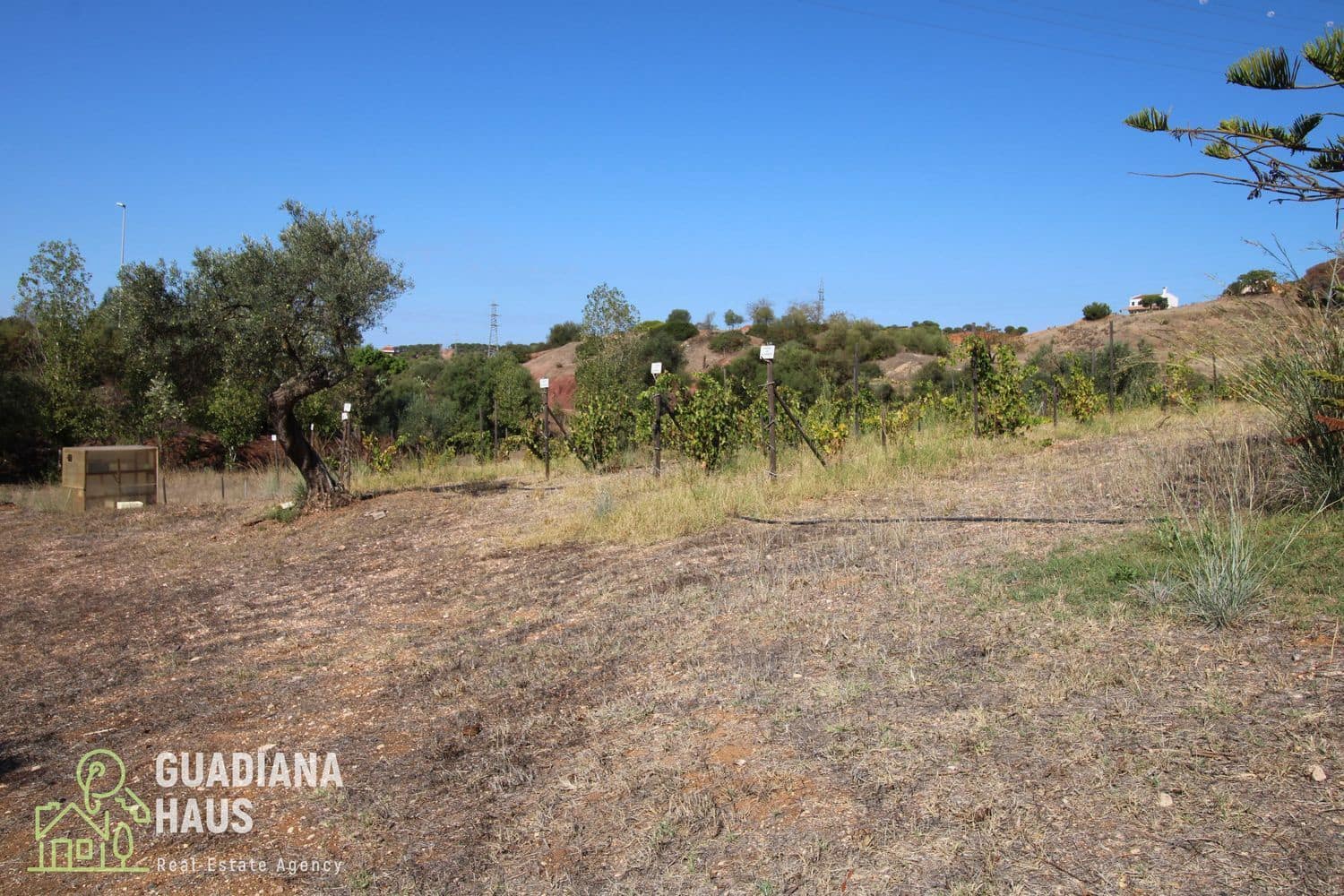 8 slaapkamer Finca/Landhuis te koop in Ayamonte met zwembad - € 559.000 (Ref: 10078581)