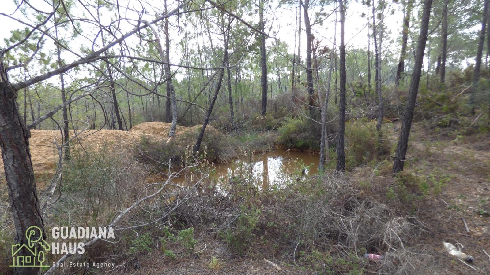 Finca/Casa Rural de 2 habitaciones en Villablanca en venta - 199.000 € (Ref: 10078594)