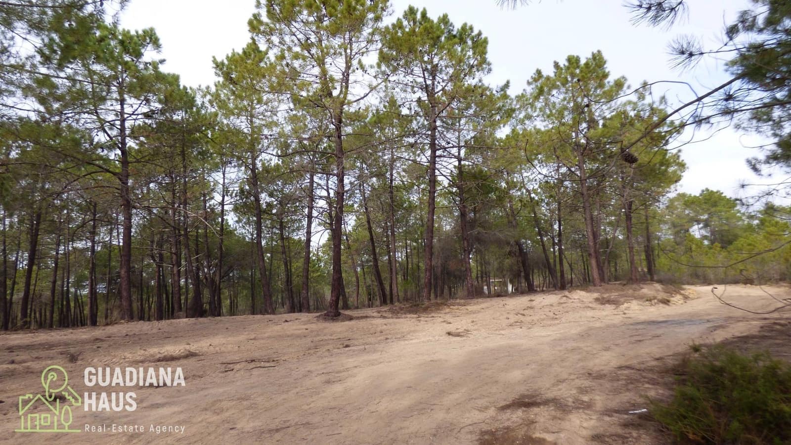 Finca/Casa Rural de 2 habitaciones en Villablanca en venta - 199.000 € (Ref: 10078594)