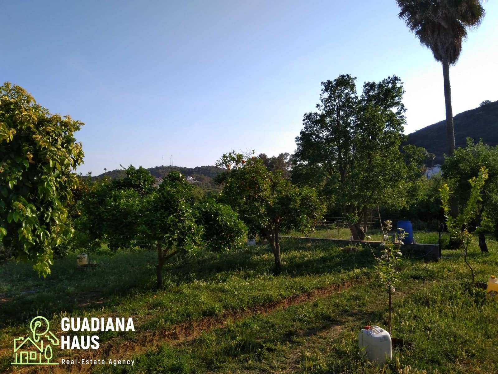 1 sypialnia Finka/Dom wiejski na sprzedaż w Sanlucar de Guadiana z basenem - 225 000 € (Ref: 10078595)