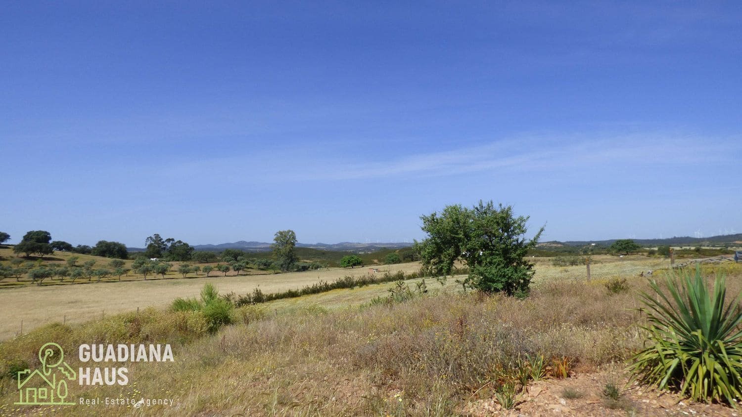 4 sypialnia Finka/Dom wiejski na sprzedaż w Alosno - 169 000 € (Ref: 10078599)